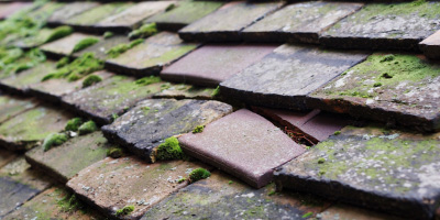 Tadlow roof repair costs
